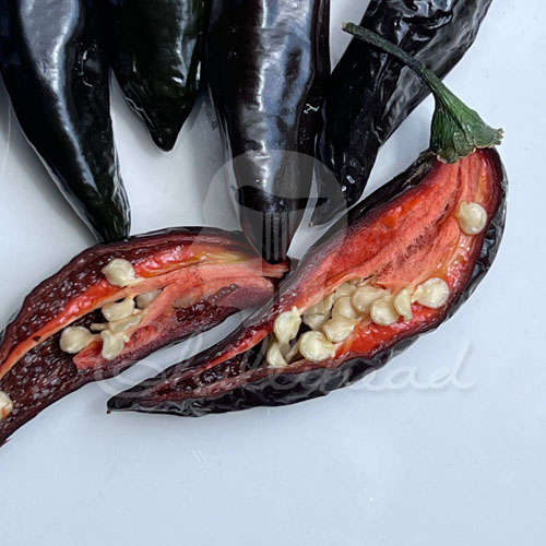 Georgia Black (Secluded) Chilli Seeds | CHILLIHEAD | Home of the ...