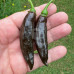 Georgia Black (Secluded) Chilli Seeds | CHILLIHEAD | Home of the ...